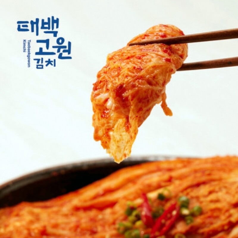 강원태백몰,태서식품 태백고원 숙성묵은지5kg