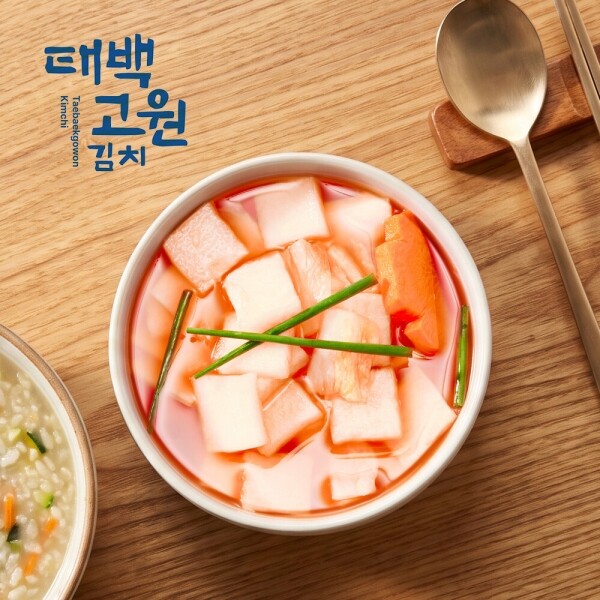 태서식품 태백고원 나박물김치5kg
