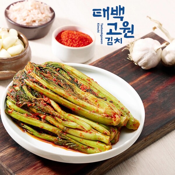 태서식품 태백고원 갓김치3kg