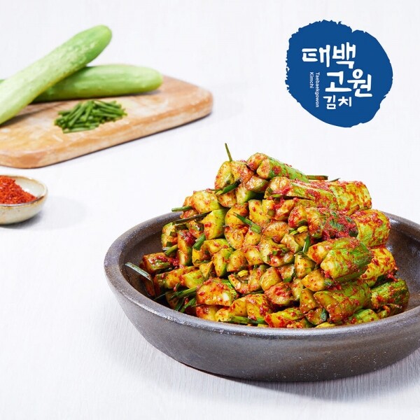 태서식품 태백고원 오이소박이3kg