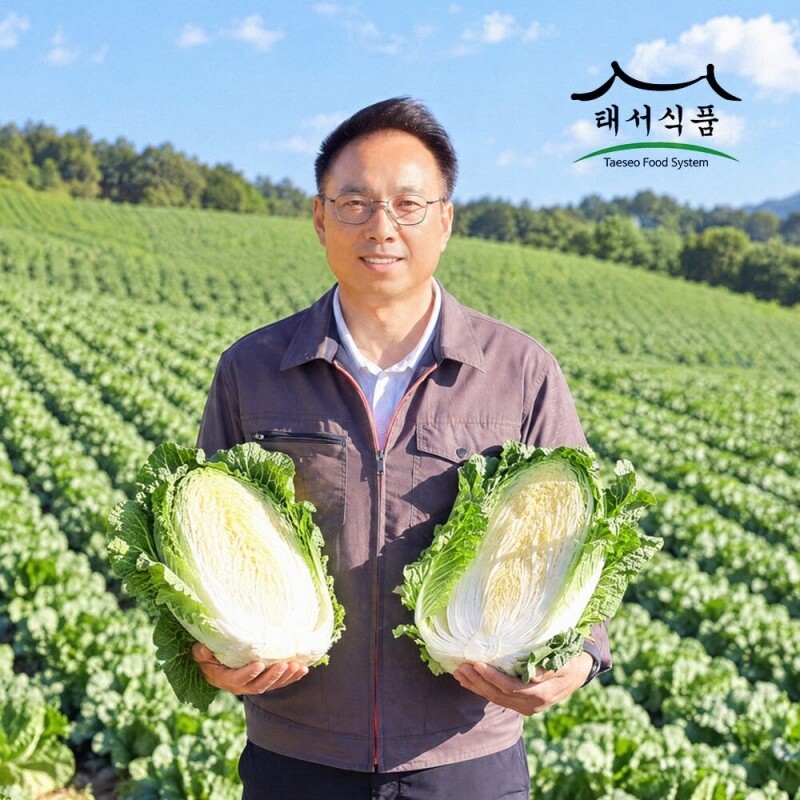 강원태백몰,태서식품 태백고원 절임배추20kg