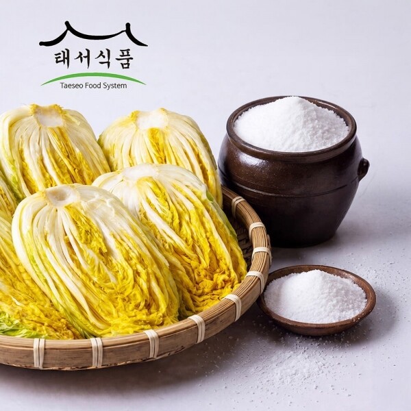 태서식품 태백고원 절임배추20kg